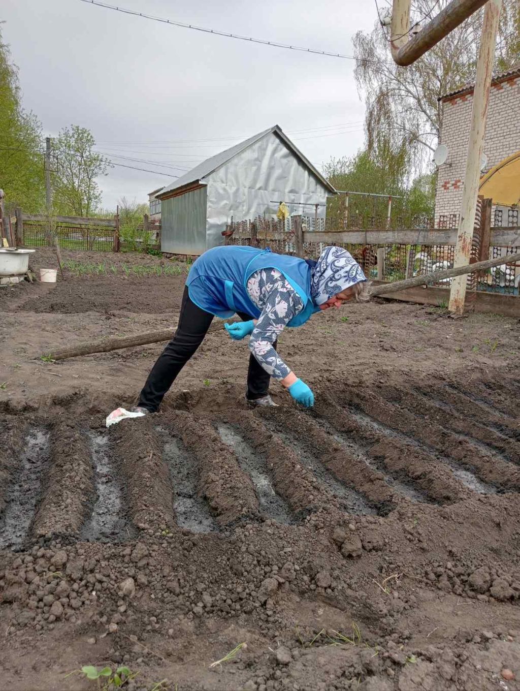 Социальные работники помогли получателям социальных услуг с посадкой огорода