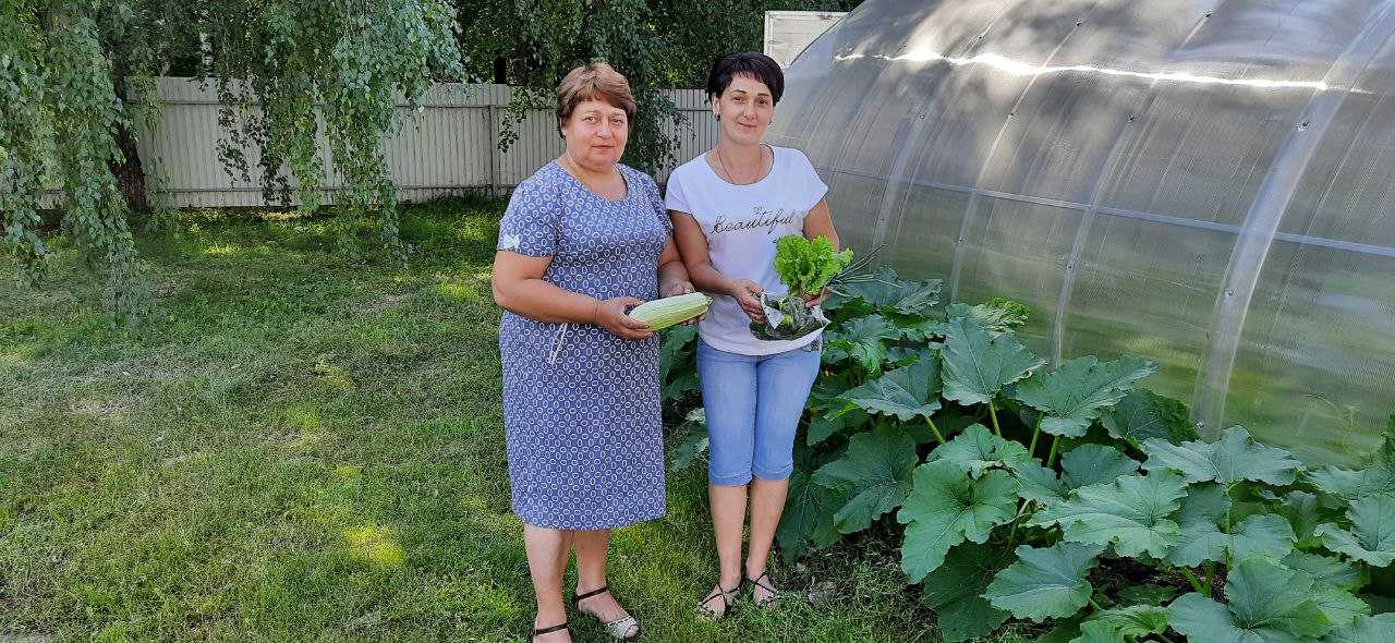 Сбор урожая для получателей социальных услуг.