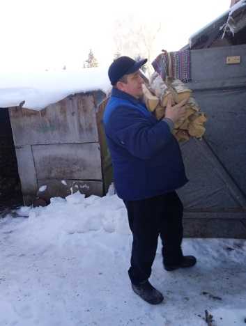 Заготовка дров для печного отопления.