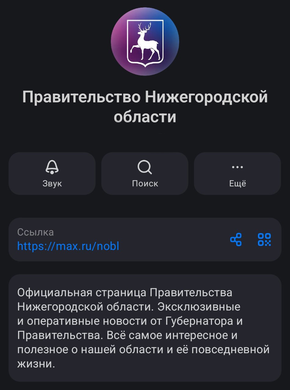 Правительство Нижегородской области теперь есть в MAX!