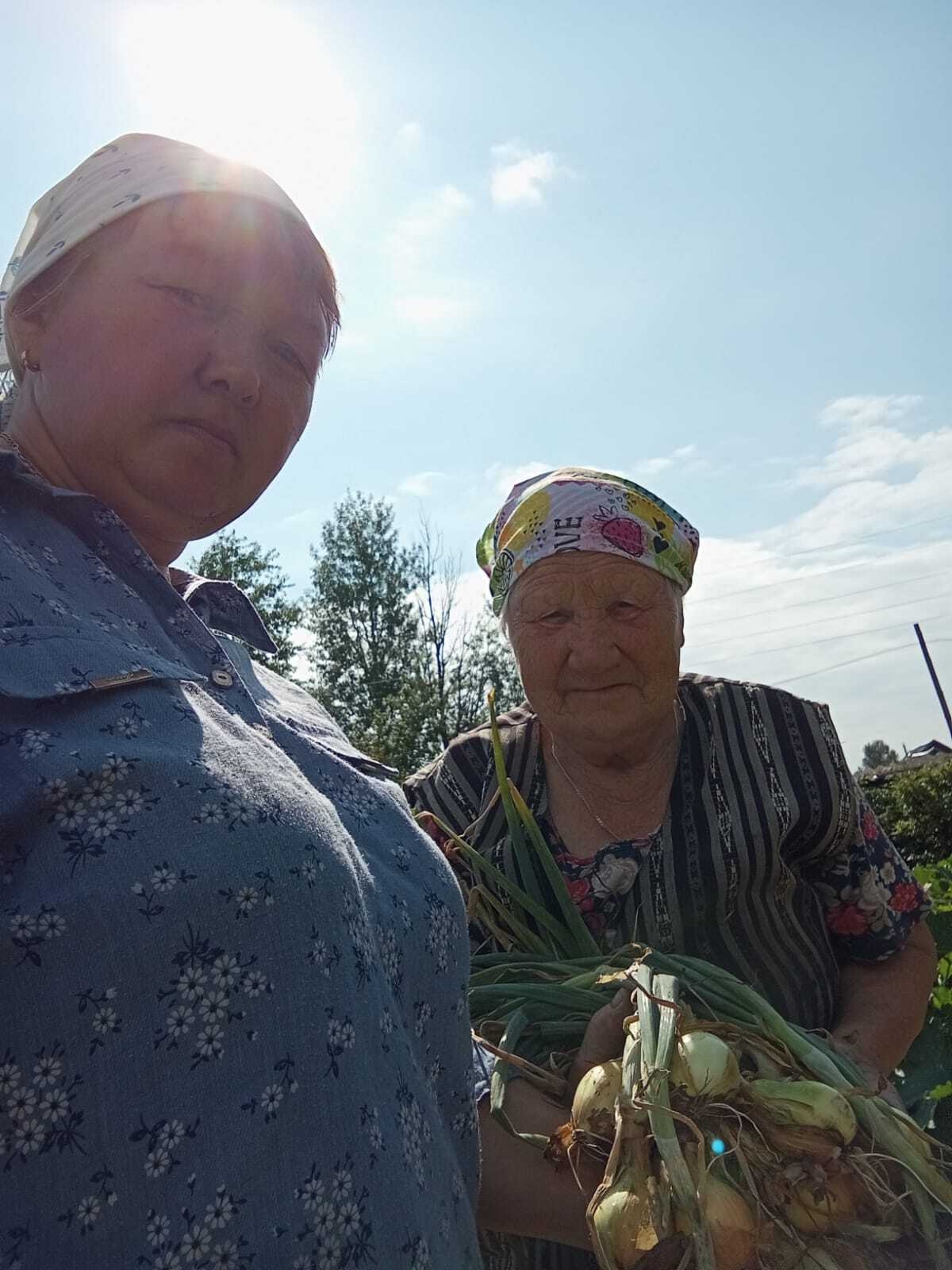 Начало сбора урожая