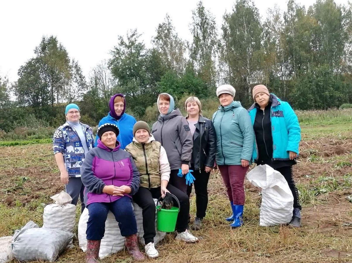 Выкопать картошку - сделать доброе дело!