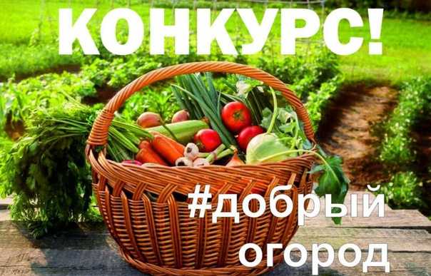 #ДОБРЫЙ ОГОРОД