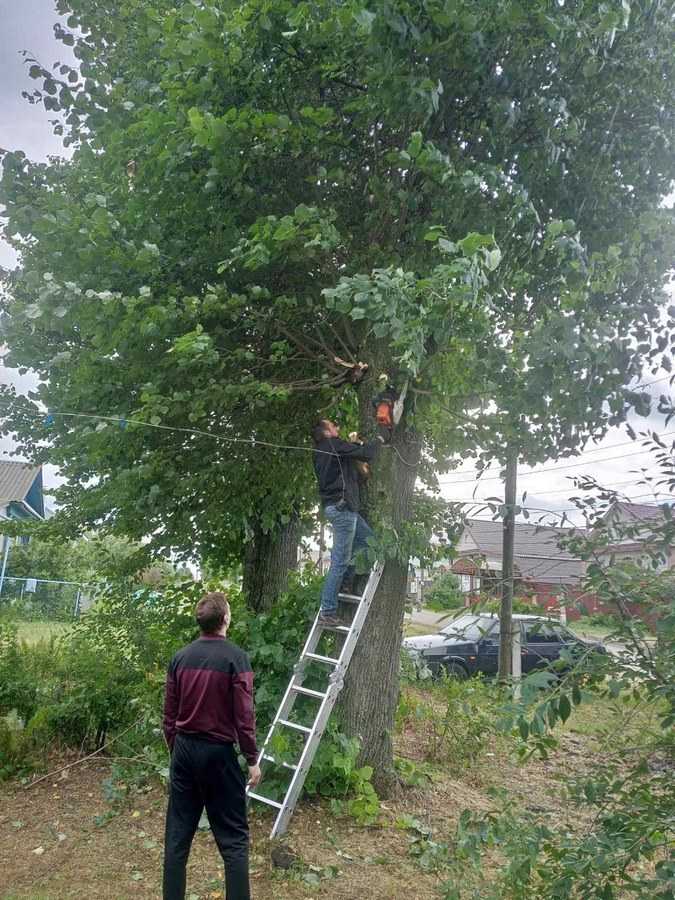 Волонтеры объединения 