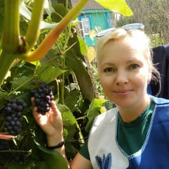 Летние лакомства