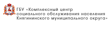 ГБУ «Центр социального обслуживания граждан пожилого возраста и инвалидов Ленинского района города Нижнего Новгорода»